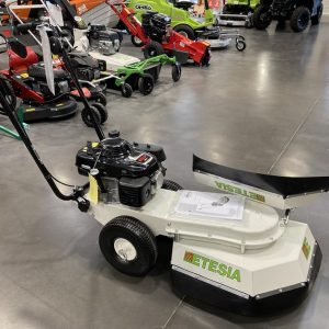 ETESIA