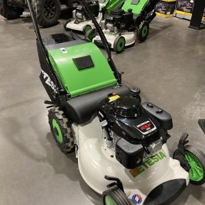 ETESIA